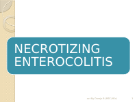 NEC PPT (4).pptx